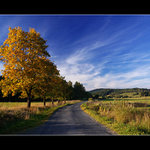 Večery v Českém lese