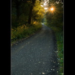 Podzimní cesta za sluncem