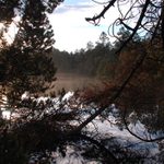 Ráno u Mechového jezírka na Rejvízu