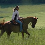 odpolední projížďka