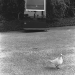 Pocit dobře odvedené práce