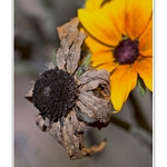 ...taky tak dopadneš  :o)