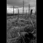 ....dědictví aneb....