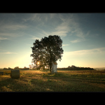 ..z toulek po Čechách..