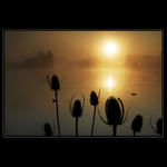 Lehce podzimní ranní Počernice II.