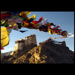 /// Namygal Tsemo Gompa ///