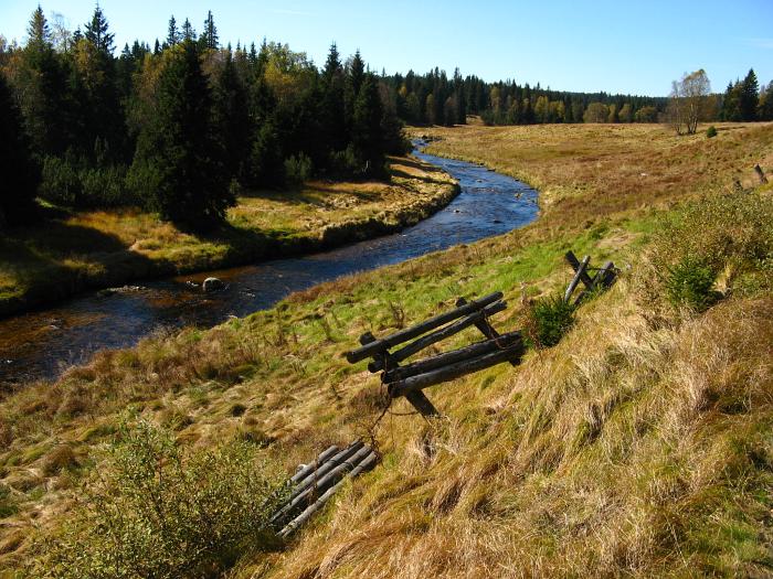 šumava: roklanský potok