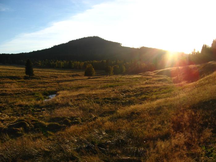 šumava: u hamerského potoka