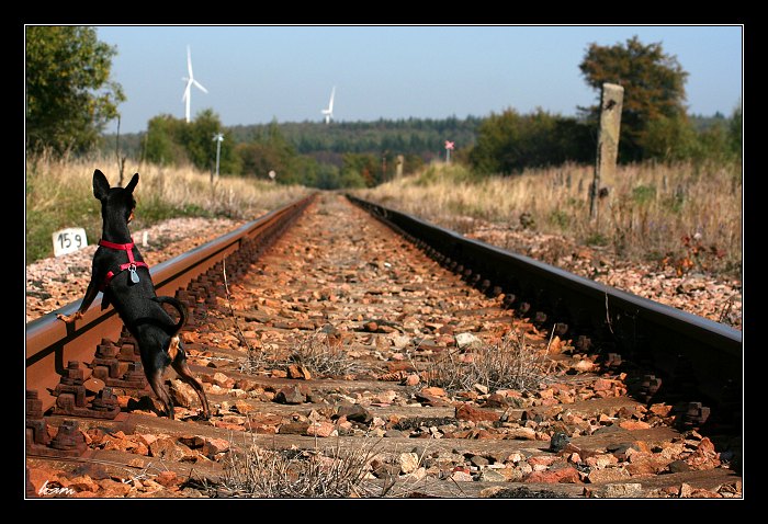 Čekání na kolejích