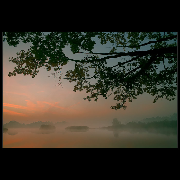 *RÁNO JAKÉ MÁM RÁD II.*