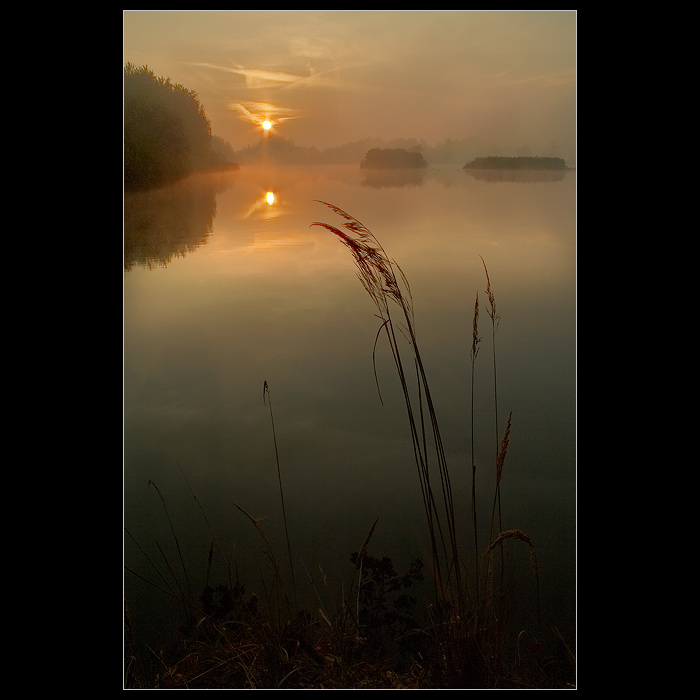 *RÁNO JAKÉ MÁM RÁD*