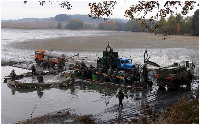 Myslív 2007