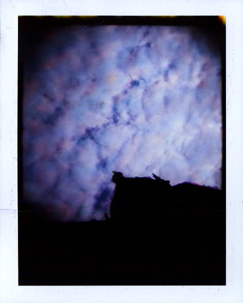 Mešita Sv. Václava