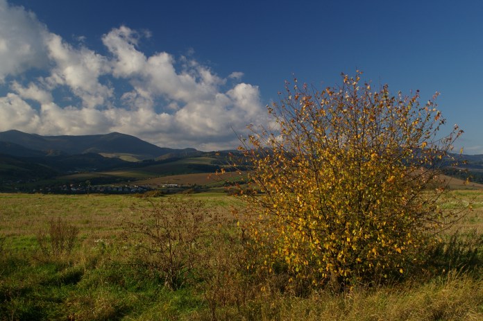 Plaveč - okolí