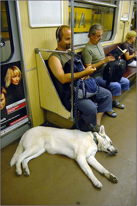 ... nuda...