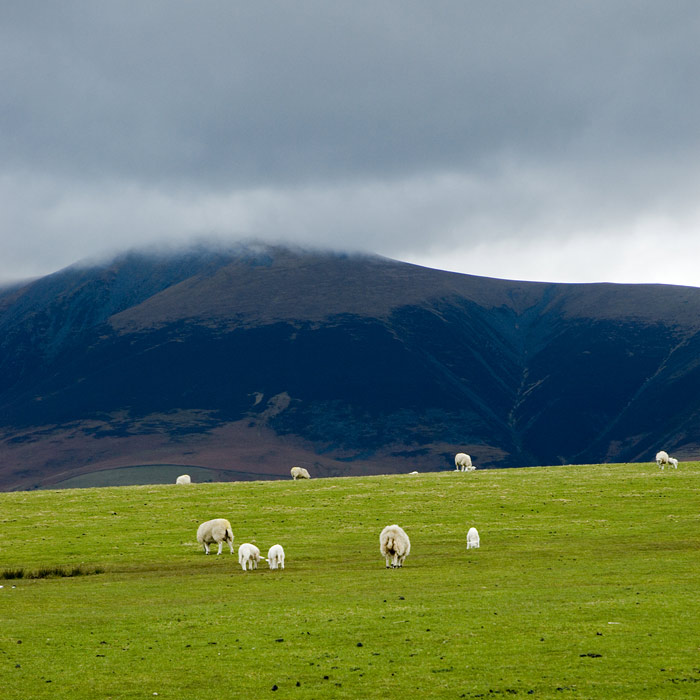 Lake District