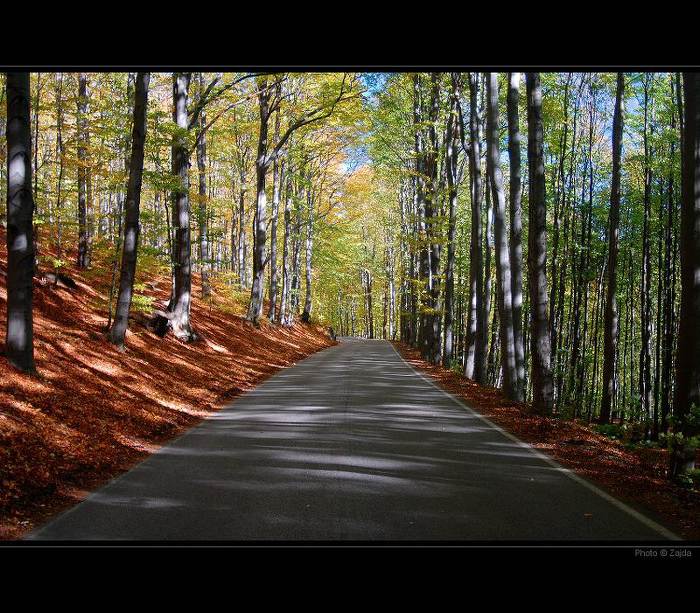 on the road