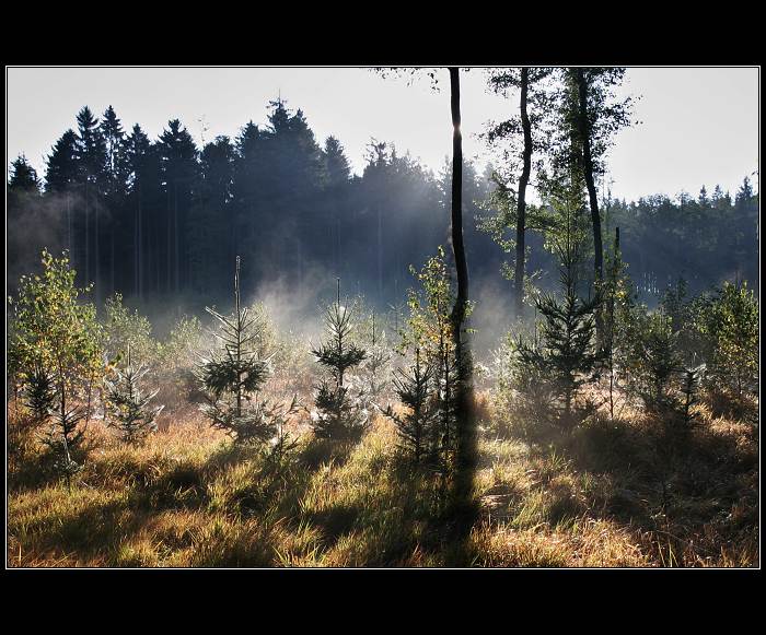 jako pára nad hrncem