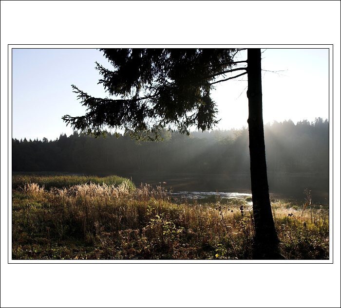 světlo nad rybníkem