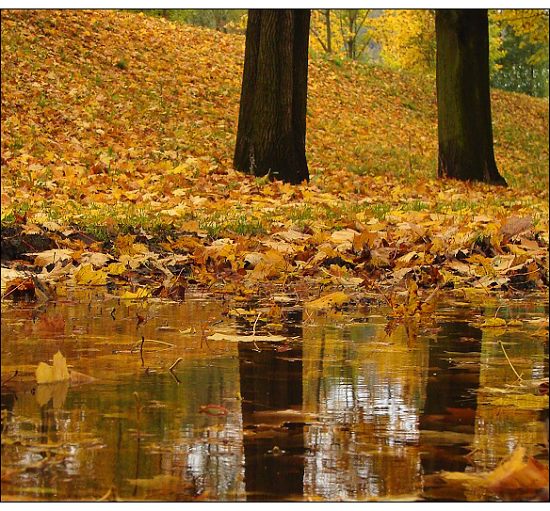 Podzimní zrcadlení
