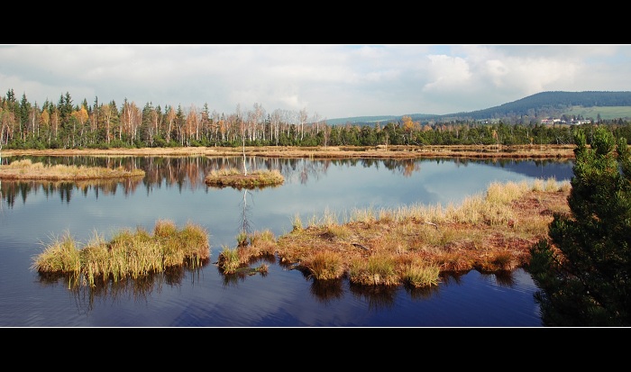 Šumava - Chalupská slať