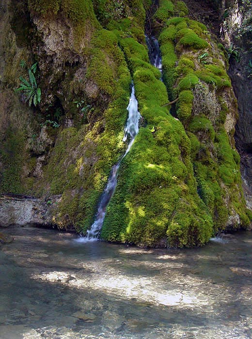 Gütersteiner Wasserfall II