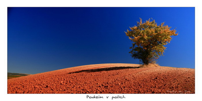 Podzim v polích