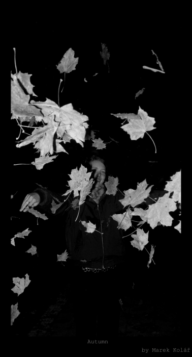 Autumn