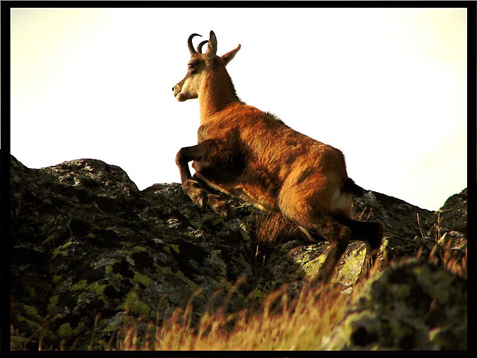 Tatry 2007