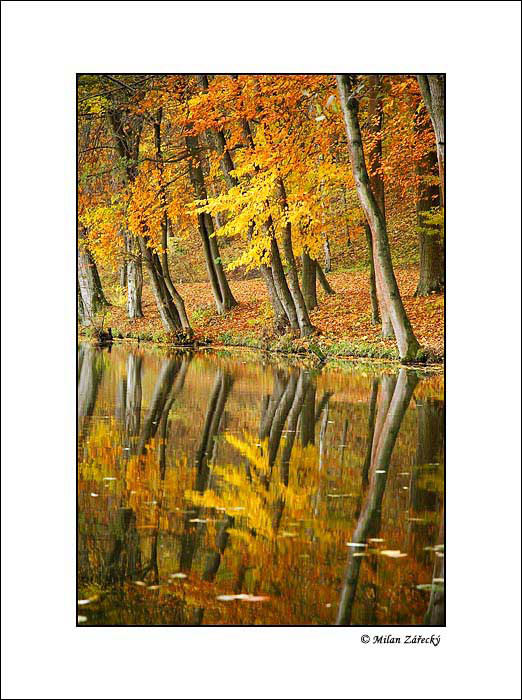 Podzimní odrazy