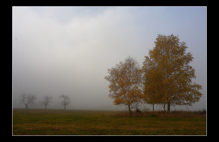 Mlha je tajemná...