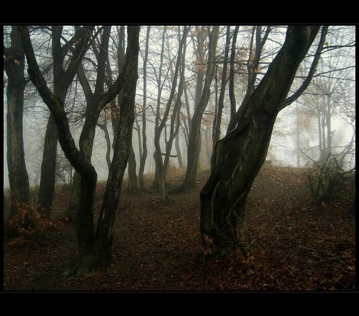 mlha stokrát jinak 020