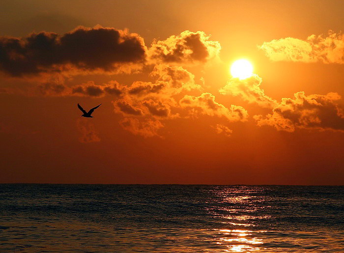 Jedno ráno v Bulharsku