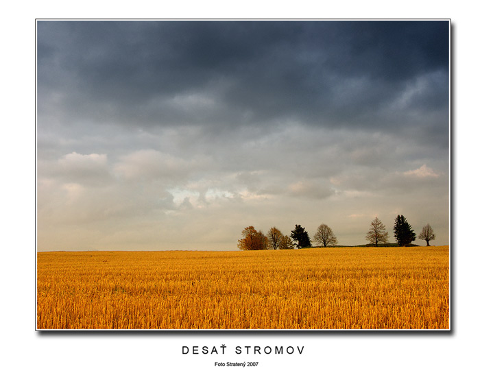 Desať stromov
