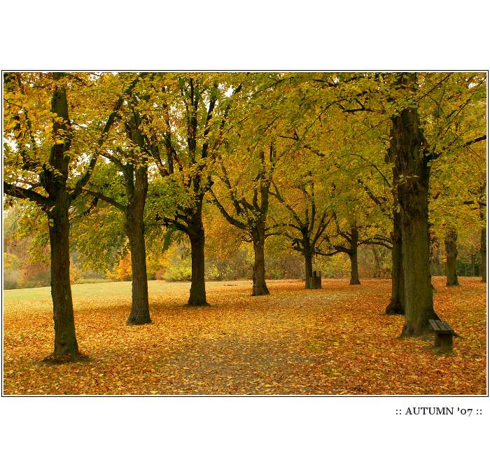 [ :: AUTUMN '07 :: ]