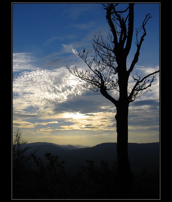 Nightfall