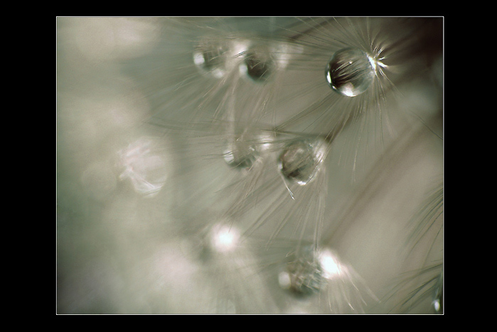 Magic II.