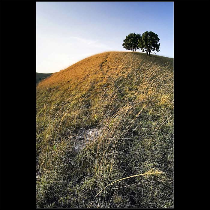Dumače-Za Bran II