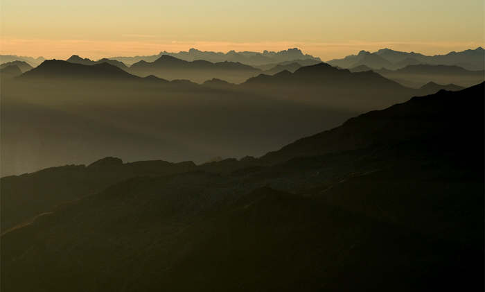 Zubatice alpska