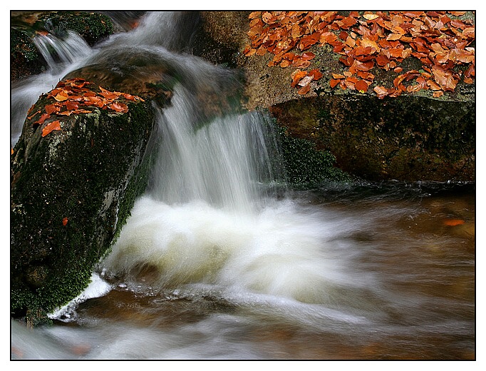 Černohorský potok II. detail