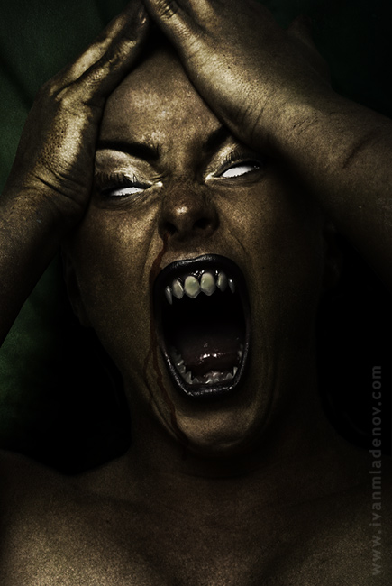 Camellia - neupravené foto