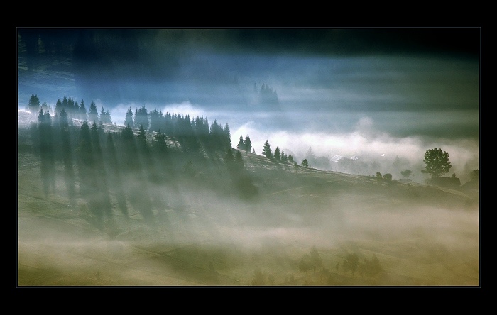 8:29, Novoť