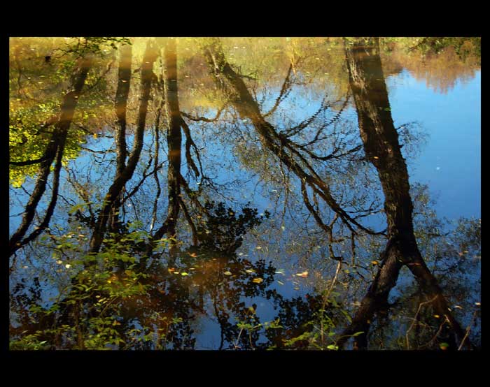 Podzimní zrcadlení