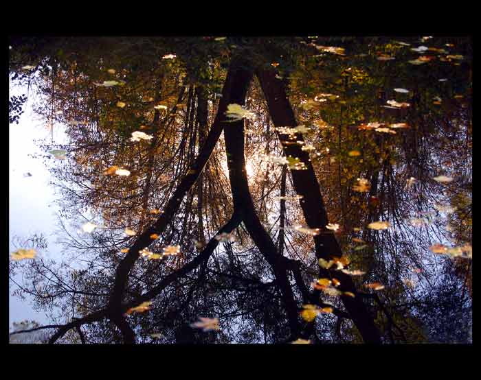 Podzimní zrcadlení