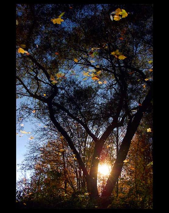 Podzimní zrcadlení