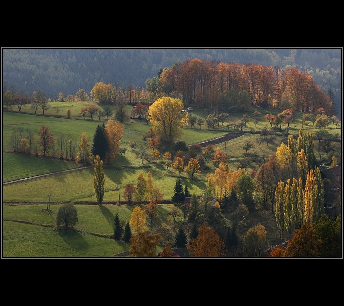 Fall colours