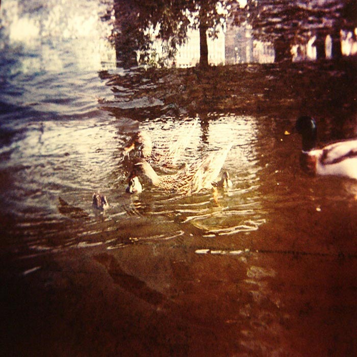 Kacenky a Kacenak (jako bonus)