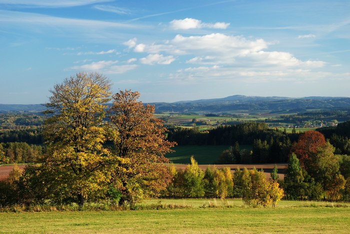 Zvičina