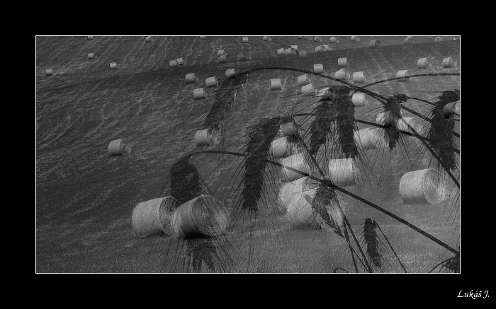 Opposing Views (Protikladné pohledy)