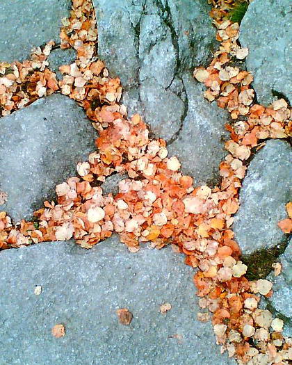 Tatranska magistrala